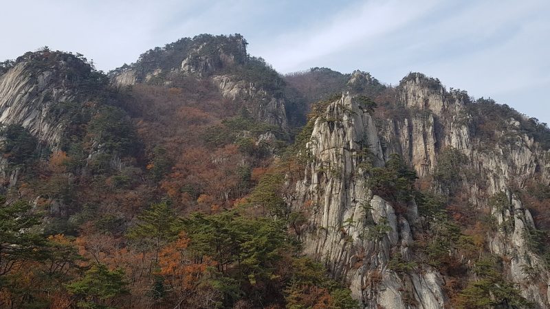 总裁驱动 示意图